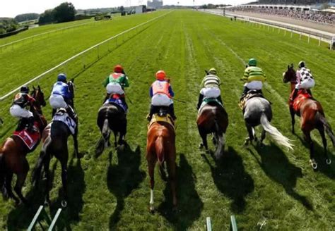 Legal Phlippines Horse Betting .